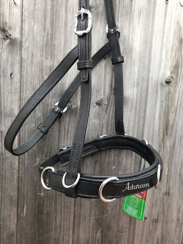 Oslo Training Bridle